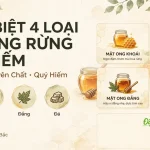 Phân Biệt 4 Loại Mật Ong Rừng Tự Nhiên Quý Hiếm: Khoái, Ruồi, Đắng Và Đá
