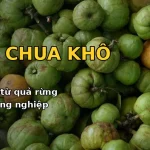 Bỏ Giấm Công Nghiệp, Người Nội Trợ Thành Thị Tìm Về Vị Chua Tự Nhiên Từ Quả Rừng