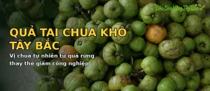 Bỏ Giấm Công Nghiệp, Người Nội Trợ Thành Thị Tìm Về Vị Chua Tự Nhiên Từ Quả Rừng