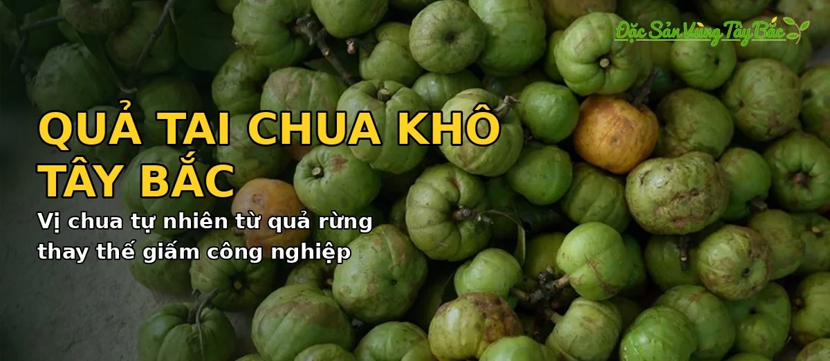 Quả tai chua khô Tây Bắc — vị chua tự nhiên từ quả rừng